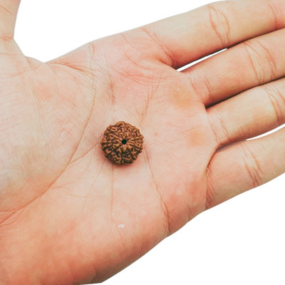 Hindustan Jewellery Beads Wood Locket