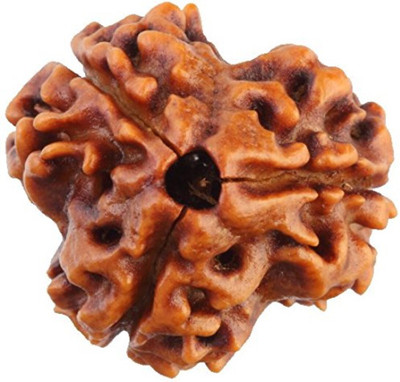 Beautum Nepali 3 Mukhi Rudraksha Original Three Face Rudraksha Metal Capping Wood Pendant