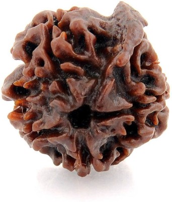 Jewelswonder Unique & Effective Four Mukhi Rudraksha 4 Faced Rudraksha For Men & Women Beads Wood Pendant