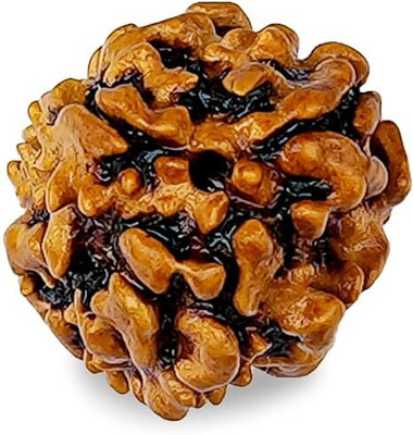 Beautum Original 3 Mukhi Rudraksha Three Face Rudraksha Metal Capped Wood Pendant