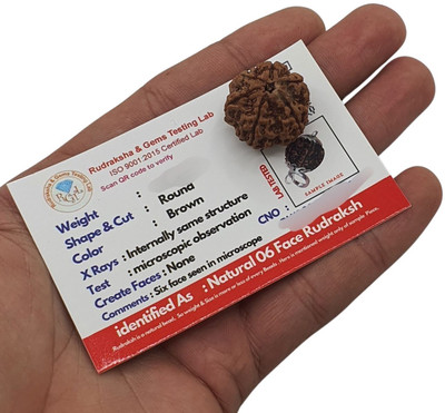 Human Collections Purest Astrological Original Natural 6 Mukhi/six Faced Nepali Rudraksha Pendant Beads Wood Locket Set