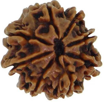 Shivtantra 8 Mukhi Rudraksha Wood Pendant