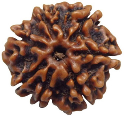 Beautum Original 7 Mukhi Nepali Rudraksha Natural Seven Face Rudraksh Metal Capped Wood Pendant