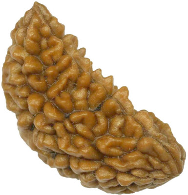 Navduega Jyotish Kendra Best Quality 1 Mukhi Rudraksha, A++ Quality Rudraksha Wood Locket