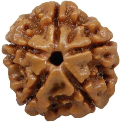 Shivtantra Original 5 Mukhi Nepali Rudraksha Five Face Rudraksh Wood Wood Pendant