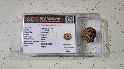 SHIV RUDRAKSHA 11 MUKHI NEPALI RUDRAKSHA Wood Pendant
