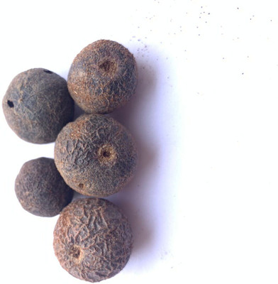 Rudraksham Rudraksha Nepali Scared Fruit (Set of 5) Wood Pendant Set