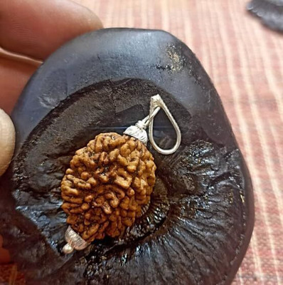 Beautum Natural 2 Mukhi Rudraksha Nepali With Capping Two Face Rudraksha Wood Pendant