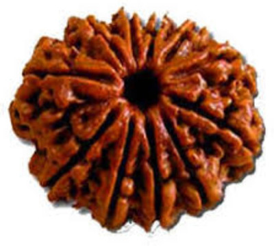 house of common 11 Mukhi Rudraksha Original Indonesian | Eleven Face Rudraksha Silk Dori Pendant