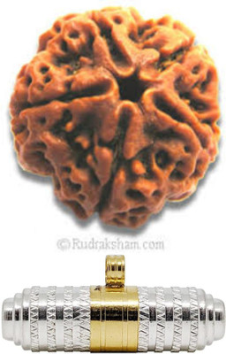 aradhya fashion Wood, Metal
