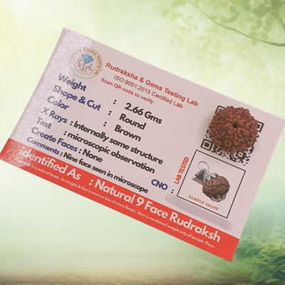 AstroLotus Beads Wood Locket