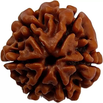 Fine Creation Natural Six Mukhi (6 face) Rudraksha Men & Women Wood Pendant