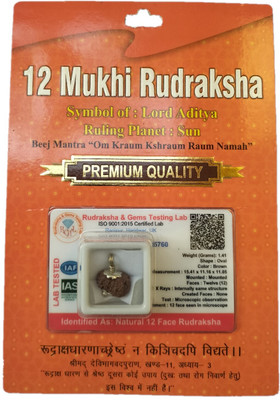 BHAKTI SHRINGAR 12 Mukhi Rudraksha Original Certified Lab Test & X-ray Report Sterling Silver Wood Pendant