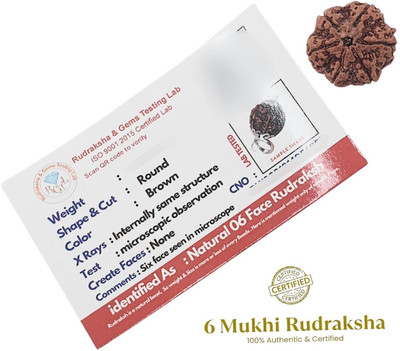JagatguruShop Lab Certified 6 Mukhi Rudraksha Beads Original & Real Pack of 1 Beads Wood Locket