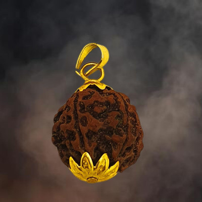 Shade Creation 6/ six Mukhi Rudraksha Lab Certified Original Pure Nepalese Beads Gold-plated Beads Brass, Wood Locket