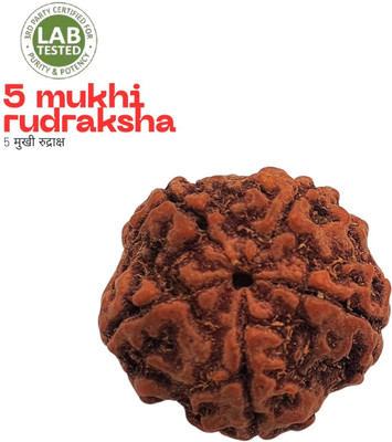 NATURAL TREASURE FIVE 5 MUKHI RUDRAKSHA (CERTIFIED AND NEPAL ORIGIN) 5 MUKHI RUDRAKSH Beads Wood Pendant Set