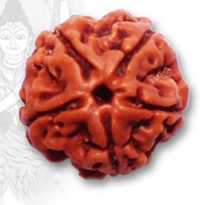 Fine Creation Unique & Effective Five Mukhi Rudraksha 5 Faced Rudraksha For Men & Women Wood