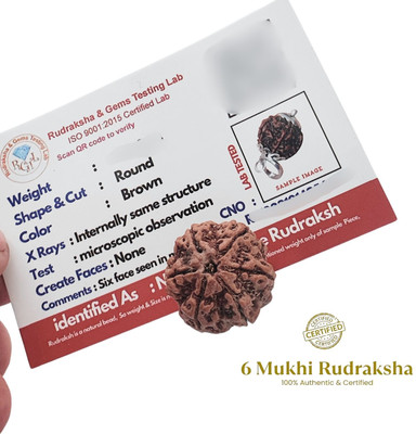 JagatguruShop 6 Mukhi Rudraksha six-Faced Rudraksha with detailed Puja & wearing instruction Beads Wood Locket