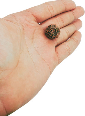 Fine Creation Beads Wood Locket Set