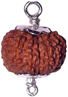 Divine rudras 9 Mukhi Rudraksha Pendant Indonesia Certified Wood Pendant