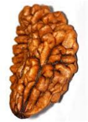 Jewelswonder Ek Mukhi Rudraksha / One Face Rudraksha / 1 Mukhi Rudraksh With Lab Certificate Wood Pendant