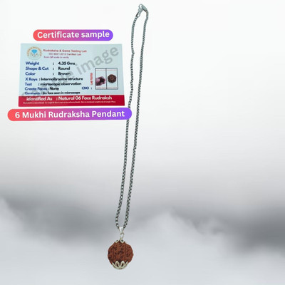 BHAKTI CHIMES 6 Mukhi Rudraksha Six Faced Charr Nepali Rudraksh Bead Original & Certified Silver Beads Brass, Wood Locket Set