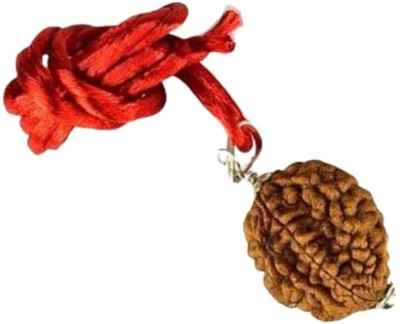 DIVINE SOUVENIRS 2 Mukhi Rudraksha Two Face Rudraksha Nepali Rudraksha Code:14 Wood Pendant