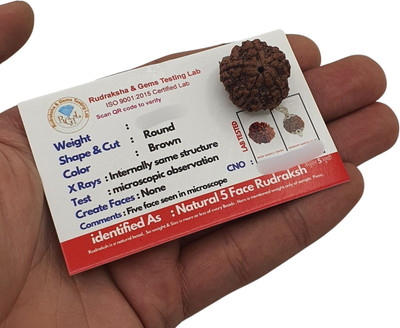 BHAKTI CHIMES 5 Mukhi Nepali Rudraksha Pendant Five Face Rudraksha Natural Bead Lab Certified Beads Wood Locket