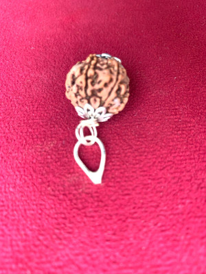 Rudraksham 6 Mukhi Nepali Rudraksha Pendant With Certificate Of Authenticity By Brand Silver Brass Locket Set