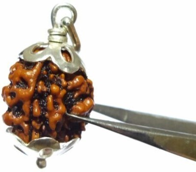 Rudraksham 3 Mukhi Original Nepali Rudraksha Pendant ( Set Of 100) Brass Pendant Set