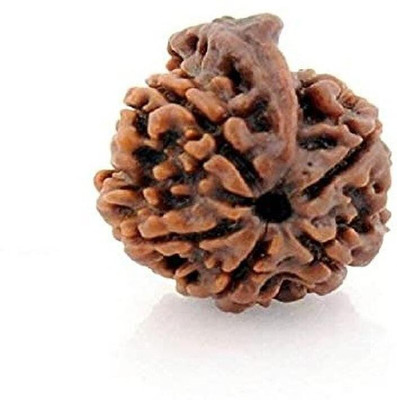Jewelswonder 5 Mukhi Ganesh Rudraksha Wood
