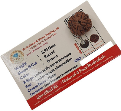 Bharat Collection 4 Mukhi Rudraksha four Faced Charr Nepali Rudraksh Bead Original & Certified Beads Wood Pendant