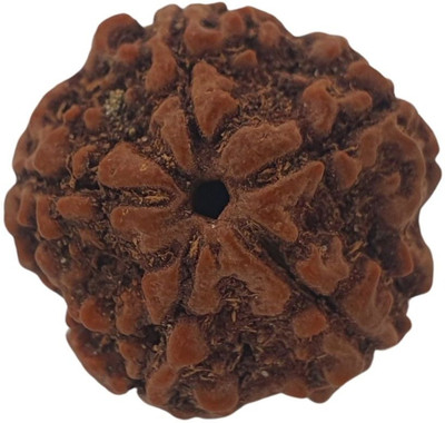 Fine Creation Original Nepali pach mukhi rudraksha | 5 Faced | 5 Mukhi Rudraksha Paanch Mukhi Beads Wood Locket Set