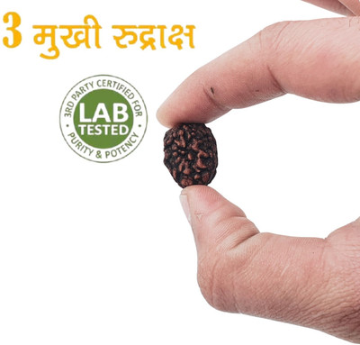 Khushal ENTERPRISE Natural Nepali 3 Mukhi Rudraksha Pendant (three Face Rudraksha ) With Lab Beads Wood Pendant