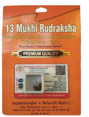 Sarvaksh 13 Mukhi Rudraksha with Silver Capping | Lab Tested & X-ray Certified Wood Pendant