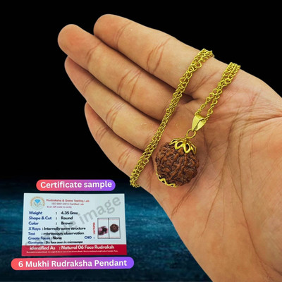 Shade Creation 6 Mukhi Rudraksha Original six Face Rudraksha Metal Capped Gold-plated Beads Brass, Wood Locket