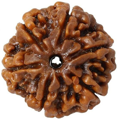 Beautum 6 Mukhi Rudraksha Original Six Face Rudraksha Metal Capping Wood Pendant