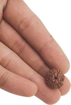 Madhavi Jewellery 7 Mukhi rudraksha / 7 Face Rudraksha Pendant indonesian Beads Wood Locket Set
