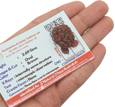 HAPPY CREATION Natural 3 Mukhi Rudraksha three Faced Rudraksha Metal Cap Beads Wood Locket Set