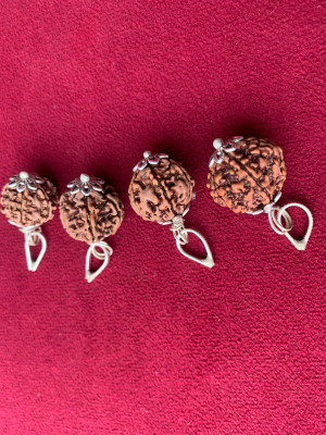 Rudraksham 6 Mukhi Nepali Rudraksha Pendant With Certificate Of Authenticity (Set of 4) Silver Brass Locket Set