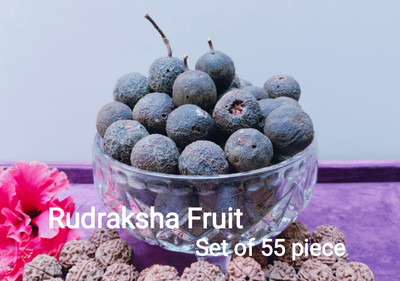 VIDHAN ART Rudraksha Fruit Nepali Rudraksha Fal/Phal set of 55 piece Wood Locket