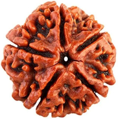 uniworldwide 5 Mukhi Rudraksha Pendant Natural Certified Silver Brass Pendant Wood Locket