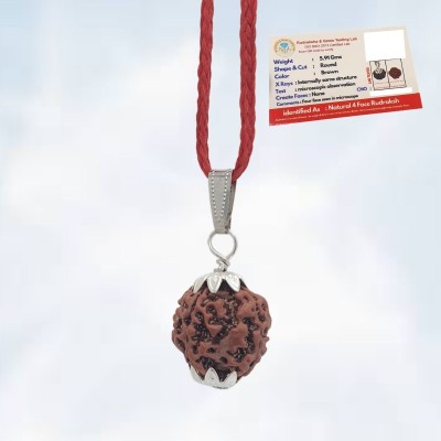 BHAKTI Kripalu Store Four Mukhi Rudraksha Certified/Original Nepali 4 Mukhi Rudraksh/Natural 4 Faced Silver Beads Brass, Wood Pendant