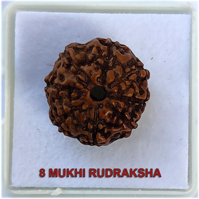 PRIYANSHU NAVRATN Certified Natural 8 Mukhi 8 Face Rudraksha Bead Small Size Java Bead Rudraksha Beads Wood