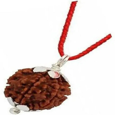 Shivtantra 4 Mukhi Rudraksha Nepali / Four Face Rudraksha Pendant Wood Pendant