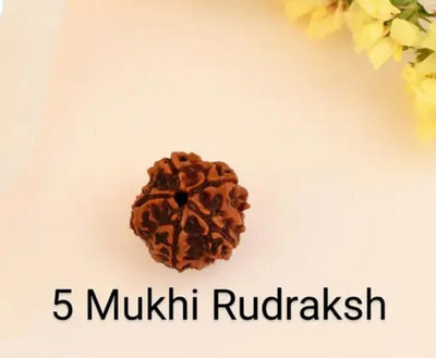 HEALINGGEMS 5 Mukhi Nepali Rudraksha Five face With Lab tested Certificate Sterling Silver Wood Locket