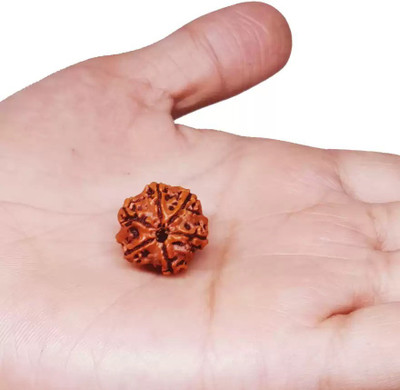 Fine Creation 6 Mukhi Rudraksha Original Nepali | Six Face Rudraksha Wood Pendant