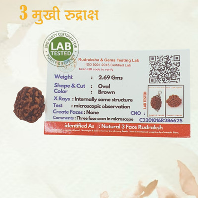 PLUYBaba Samagri Lab Certified Natural 3 Mukhi Rudraksha Bead Nepali 3 Face Rudraksha Beads Wood Locket Set