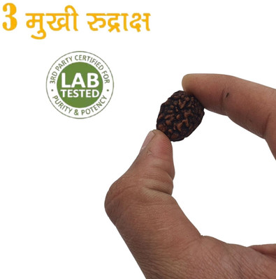 Madhur Creation 3 Mukhi Nepali Rudraksha Pendant three Face Rudraksha Natural Bead Lab Certified Beads Wood Locket