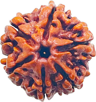 NANDAN SHREE JI 6 Mukhi/Faced Indian Rudraksha Natural & Certified Astrological Positive Effect Wood Pendant